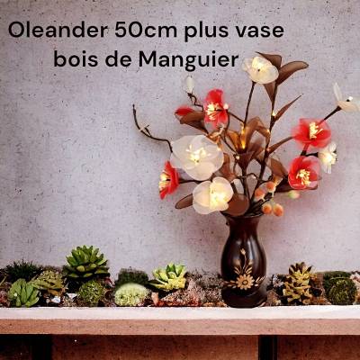 Déstockage Massif